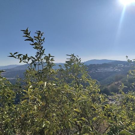 Mountainside Experience In Amirim Villa Eksteriør billede